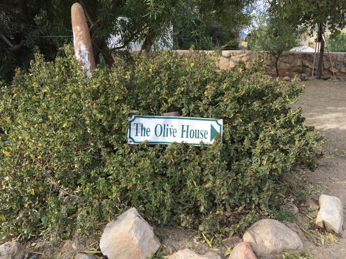 The Olive House, Prince Albert Exterior foto